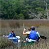 goose creek state park